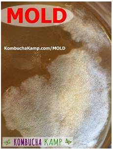 Mold Systems