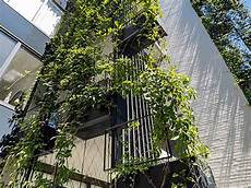 Architectural Building Projects
