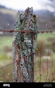 Barbed Fence With Concrete Column
