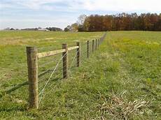 Barbed Wires