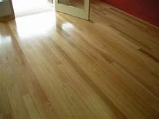 Beech Timber