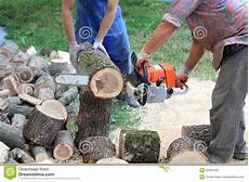 Beech Timbers