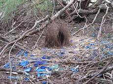 Bower Decoration