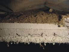 Building Insulation
