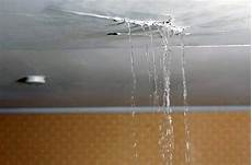 Building Repair And Maintenance Works