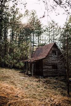 Cabin Building
