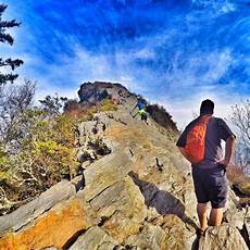 Chimney Head