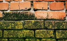 Chimney Molds