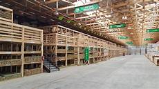 Composite Lumber Menards