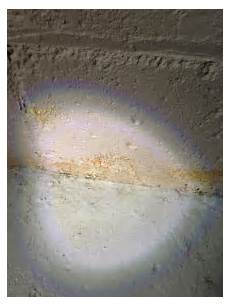 Concrete Mold