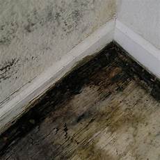 Concrete Mold
