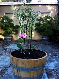 Concrete Paving And Briquette Plant