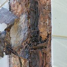 Construction Defects