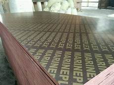 Construction Plywood