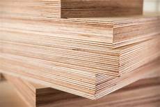 Construction Plywood