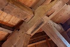 Construction Timber