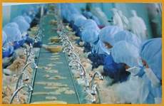 Cooling Bed Equipments