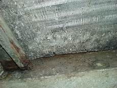 Cooling Filters