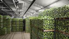 Cooling Room