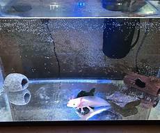 Cooling Tank