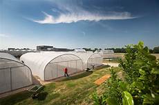 Cooling Tunnel