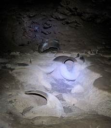 Covered Calcite