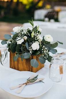 Decoration Plants