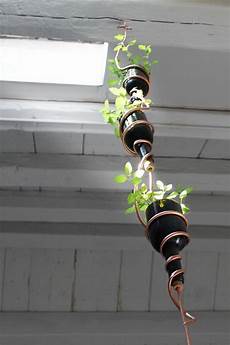 Decoration Plants