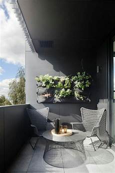 Decoration Plants