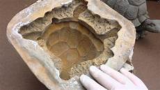 Directly To Concrete Molds