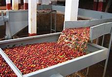 Drying Cooling Roasting Machine