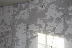Fiber Plaster