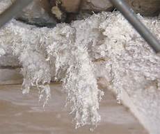 Fibrous Ceiling
