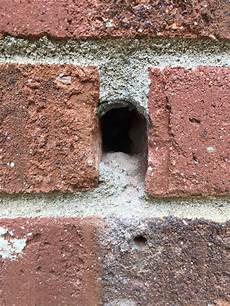 Filler Between Bricks