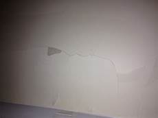 Filling Plaster