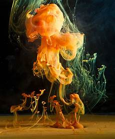 Fluid