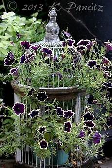 Garden Decorations