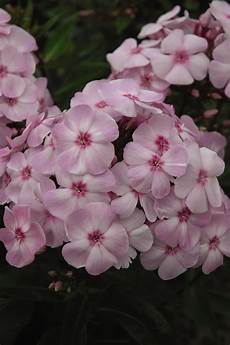 Garden Product