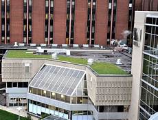 Green Roof