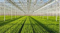 Greenhouse Galvanized Constructions