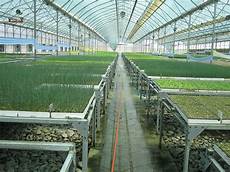 Greenhouse Galvanized Constructions