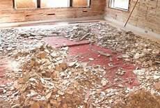 Horsehair Ceiling