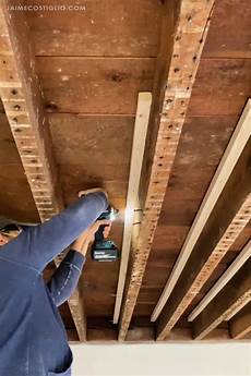 Horsehair Ceiling