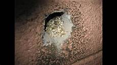 Insulation Plaster