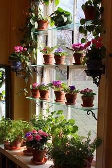 Interior Decorations
