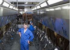 Milk Cooling Machines