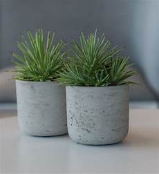 Mortar Plant