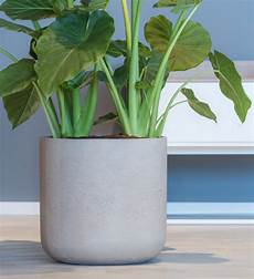 Mortar Plant