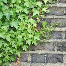 Mortar Plant