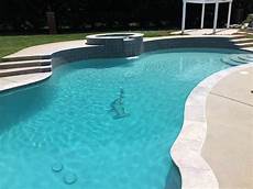 Octopus Pool Mosaic